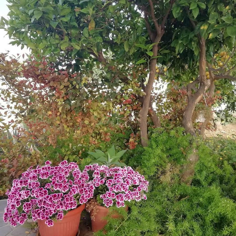 Home Scala Dei Turchi B&B Realmonte Exterior photo